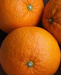 【2階限定 甘夏ロウリュのご案内】