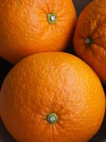 【2階限定 甘夏ロウリュのご案内】