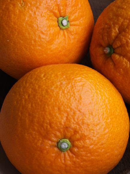 【2階限定 甘夏ロウリュのご案内】