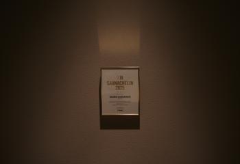 詳しくはサウナシュランウェブサイトをご覧ください