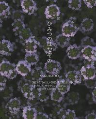 SAKURADO SPECIAL LADIES' DAY ― わたしと、サウナと、これから。― 開催
